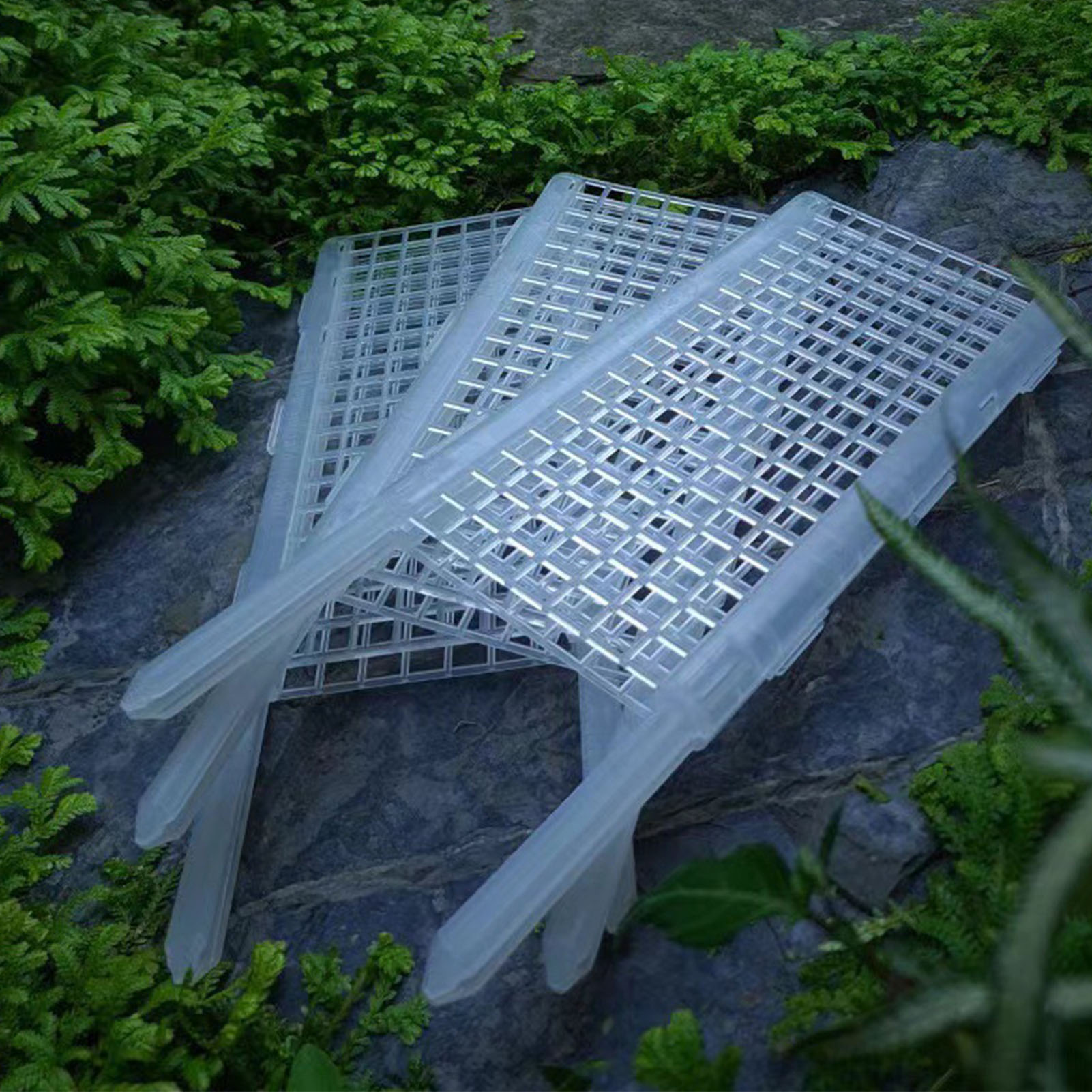 Plastic Moss Pole for Plants P - Monstera Thai Constellation ulasan dan harga