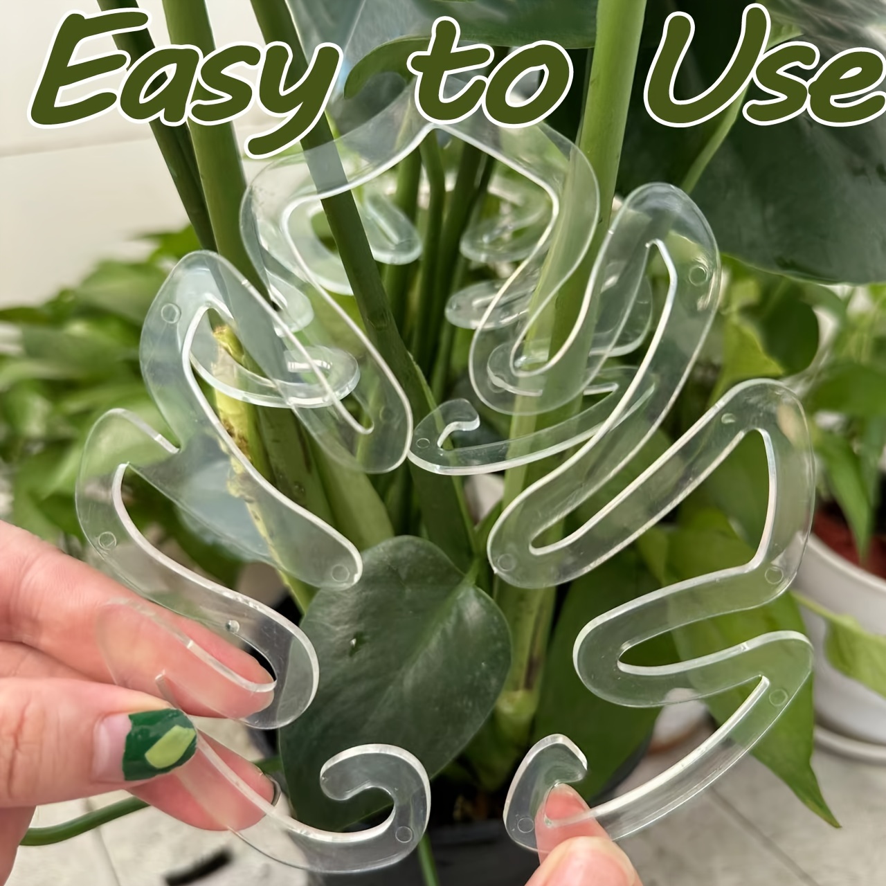 Flexible Plastic Monstera Plan - Variegated Monstera Node ulasan dan harga