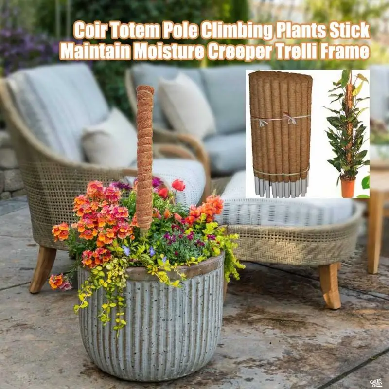 30/40/50cm Plant Climbing Coir - Monstera Thai Constellation ulasan dan harga