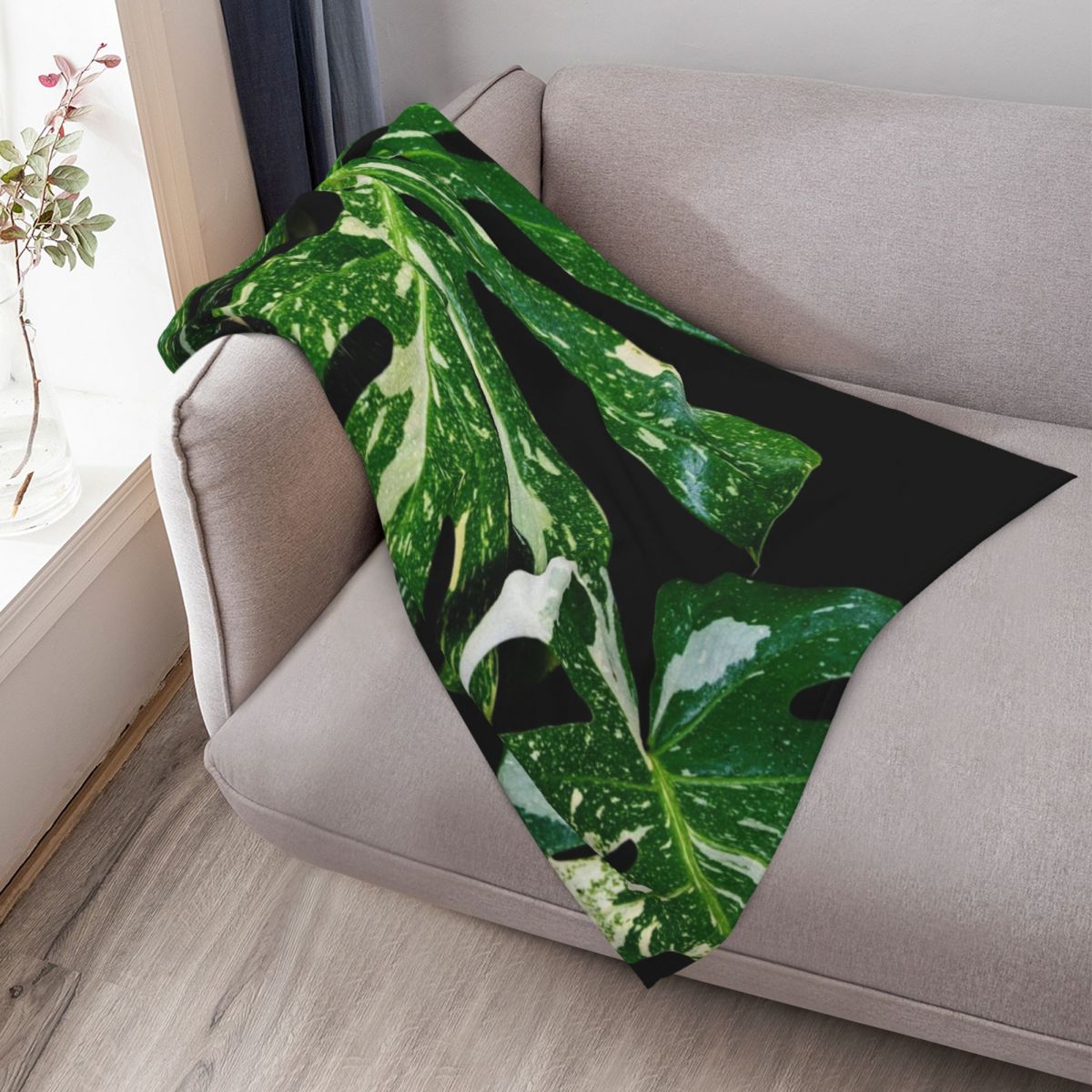 Monstera Thai Constellation Th - Monstera Thai Constellation ulasan dan harga