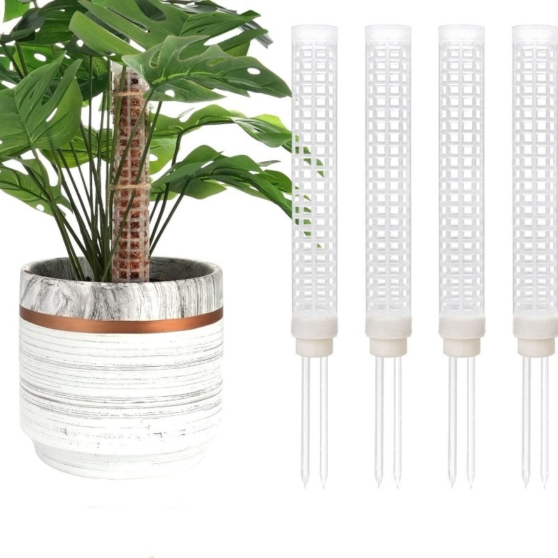 1/2/3pcs Self-watering Moss Po - Monstera Thai Constellation ulasan dan harga