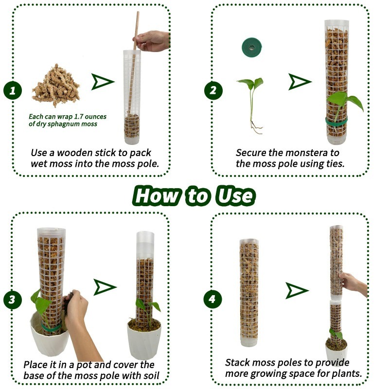 1/2/3pcs Self-watering Moss Po - Monstera Thai Constellation ulasan dan harga