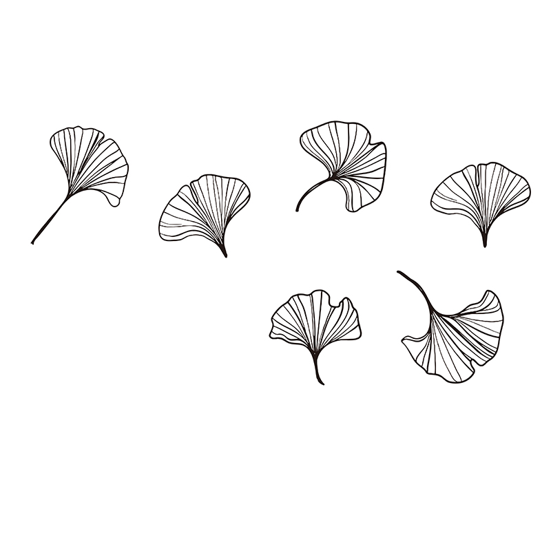 Large Pack of 6 Ginkgo Leaves  - Monstera Thai Constellation ulasan dan harga
