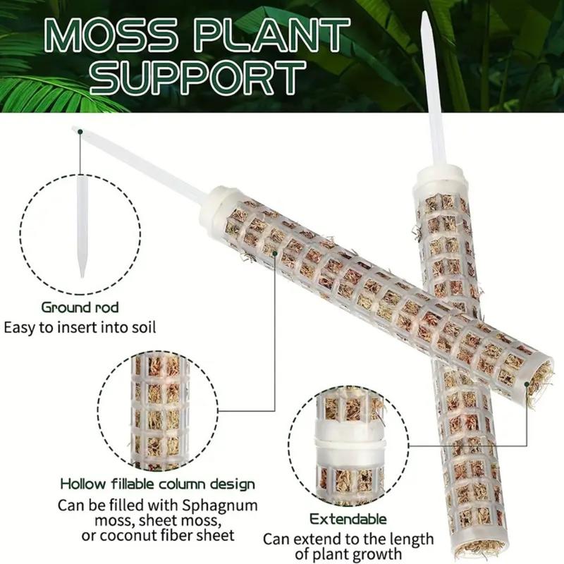Plant Climbing Frame Extendabl - Monstera Thai Constellation ulasan dan harga
