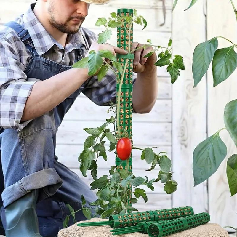 Plant Climbing Frame Extendabl - Monstera Thai Constellation ulasan dan harga