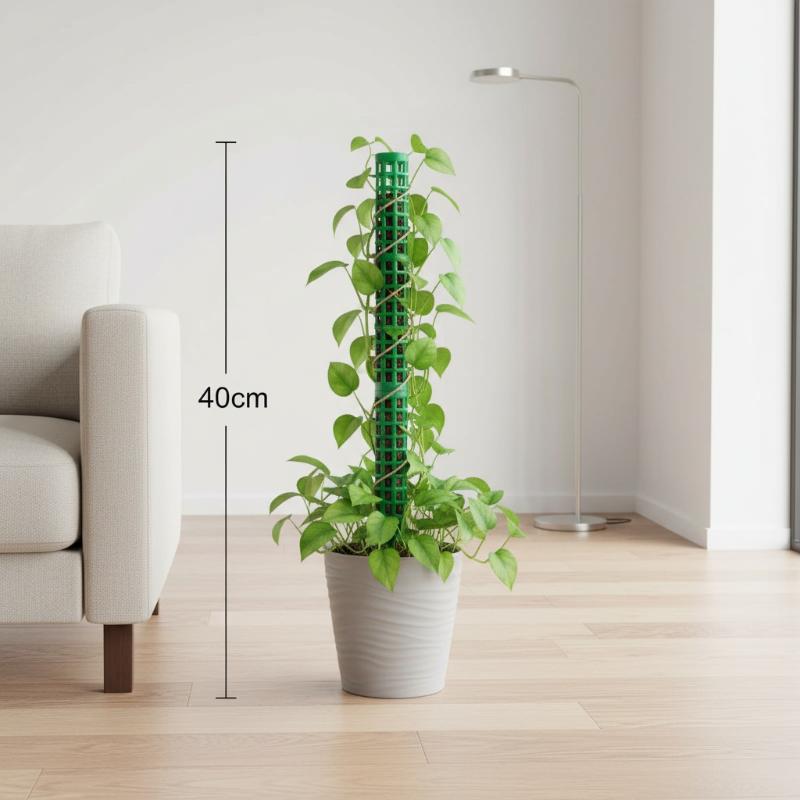 Plant Climbing Frame Extendabl - Monstera Thai Constellation ulasan dan harga