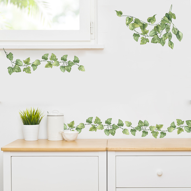 1pcs Small Fresh Green Leaves  - Monstera Thai Constellation ulasan dan harga