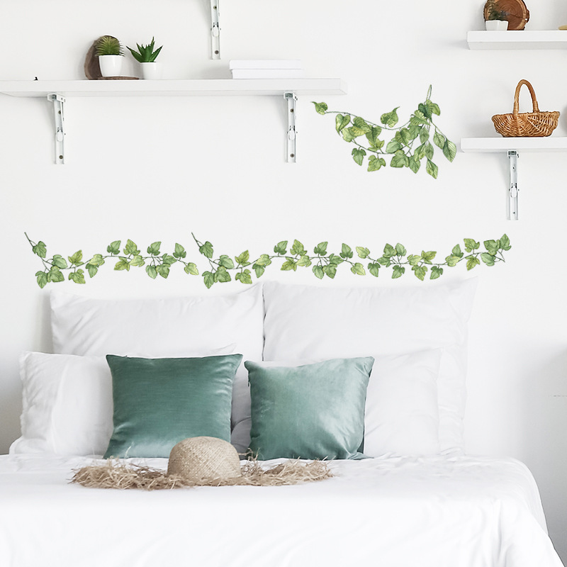 1pcs Small Fresh Green Leaves  - Monstera Thai Constellation ulasan dan harga