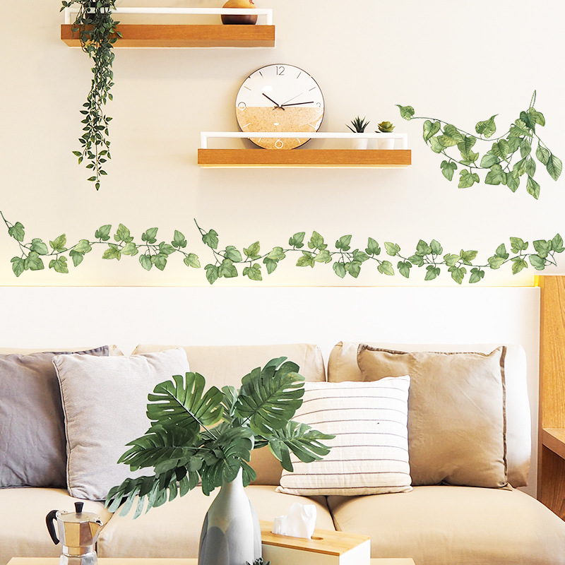 1pcs Small Fresh Green Leaves  - Monstera Thai Constellation ulasan dan harga